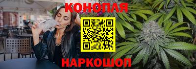 дживик Гай