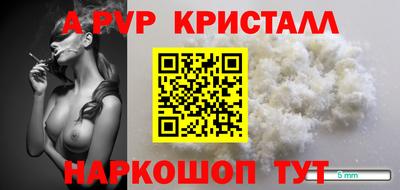 дживик Гай