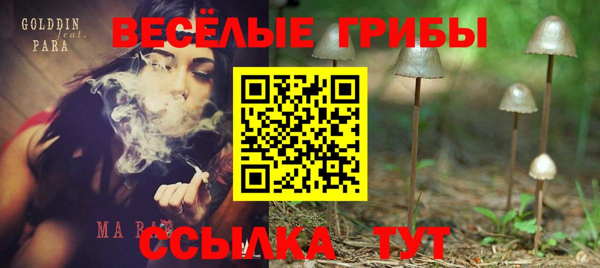 Вязьма  Галлюциногенные грибы GOLDEN TEACHER  Вход с VPN 